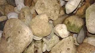 Piedras decorativas para jardín