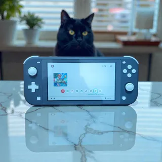 Nintendo Switch Lite Gris