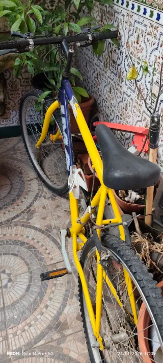 BICI MONTAÑA ADULTO AMARILLA!!