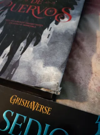 Sombra y hueso. Seis de cuervos y Reino de ladrone