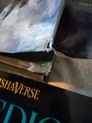 Sombra y hueso. Seis de cuervos y Reino de ladrone