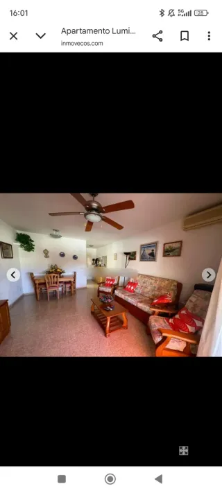 Sofá cama y butaca de madera de pino.