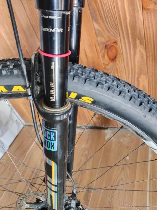 Bici MTB Coluer 29 Carbono talla L