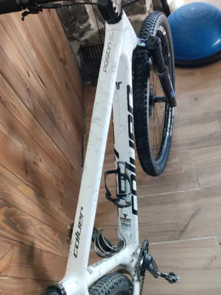 Bici MTB Coluer 29 Carbono talla L