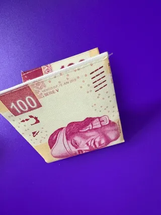 Billetera diseño billete 100 pesos