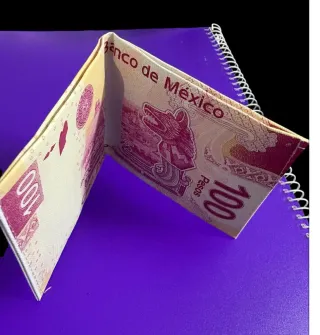 Billetera diseño billete 100 pesos