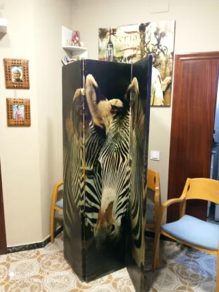 Biombo Cebra Panel Decorativo