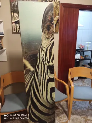 Biombo Cebra Panel Decorativo