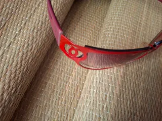 Gafas de sol rojas y estuche Max Mara