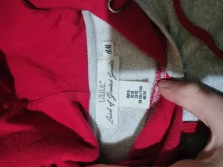 Felpa H&M Grigia con Cappuccio Rosso