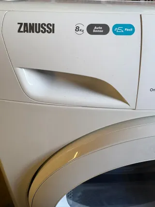 Secadora Zanussi Lindo 100