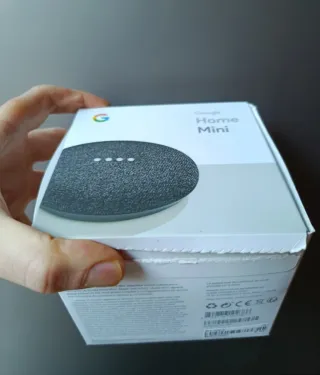 Google Home Mini (no offerte)