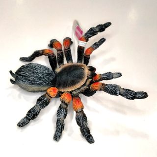 Figura tarántula de rodillas rojas Bullyland NUEVA