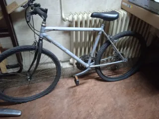 Bicicleta Gris