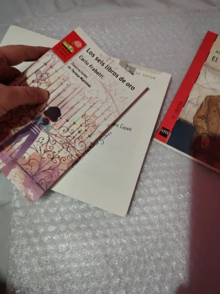 Lote 3 Libros Infantiles SM