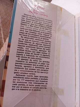 Ajedrez: El Camino Hacia La Maestría