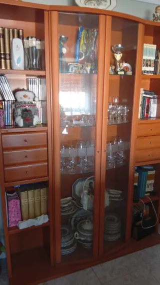 Vitrina de madera y cristal