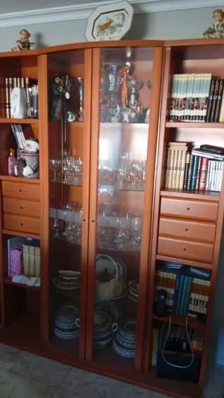 Vitrina de madera y cristal