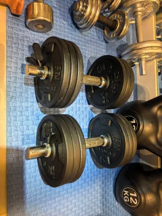 Juego de pesas 2x14kg