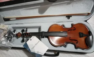 Violín con arco y funda