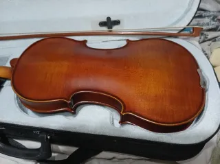 Violín con arco y funda