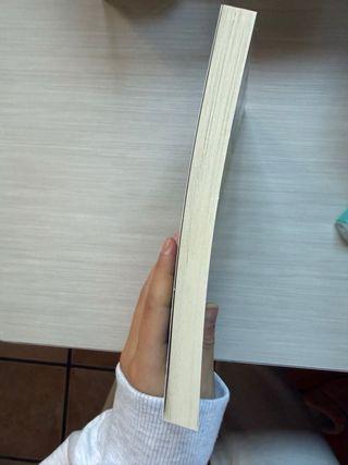 El Príncipe de la Niebla (Spanish Edition)