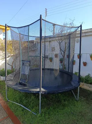 Cama elástica 3 MTS diámetro