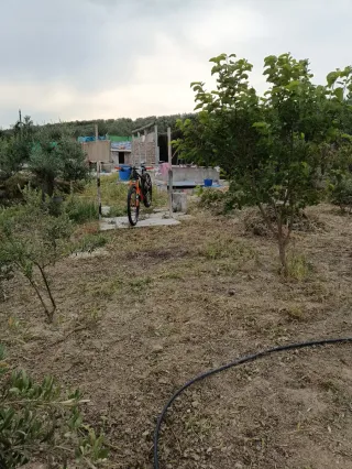 Parcela rustica en Birrete