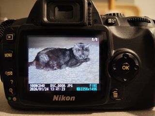 Cámara Nikon D40 con bolso y cargador