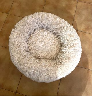 Lote rascadores y camita para gatos