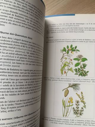 El medi natural de la Serralada de Marina