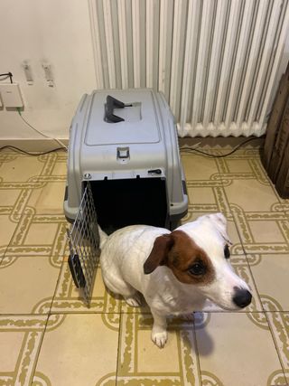 Transportín para Perro Gris y Negro