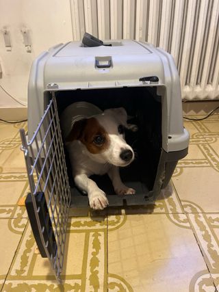 Transportín para Perro Gris y Negro