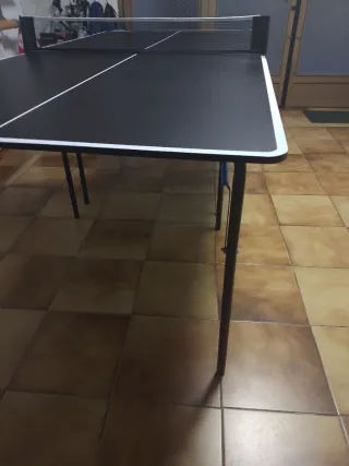 Mesa plegable de Ping Pong PPT130M Dectahlon