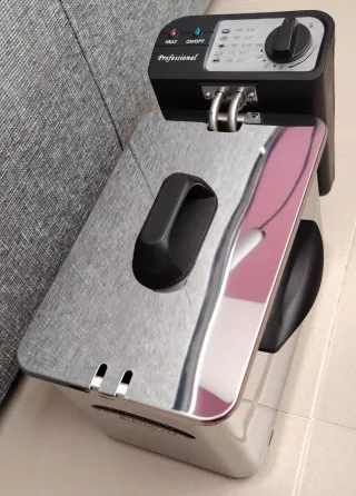 Freidora Profesional Orbegozo FDR25