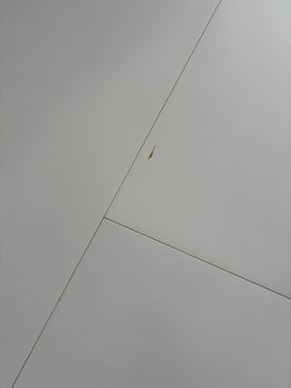 Mesa comedor extensible Liatorp y 4 sillas