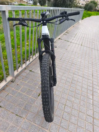 Stevens E Inception AM 8.7.1 talla S