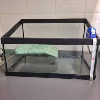 Acuario Tortugas con Plataforma