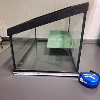 Acuario Tortugas con Plataforma