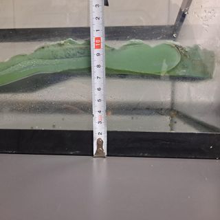 Acuario Tortugas con Plataforma