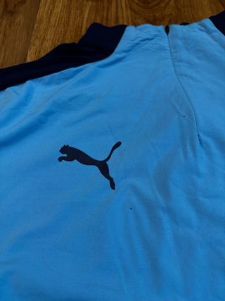 Camiseta Entrenamiento Puma Manchester City L