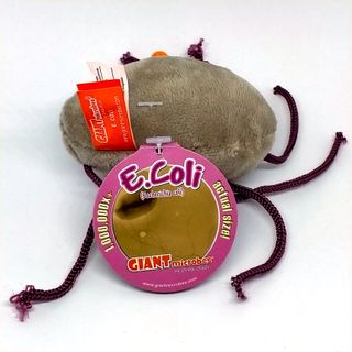 Escherichia coli llavero de peluche Giant Microbes
