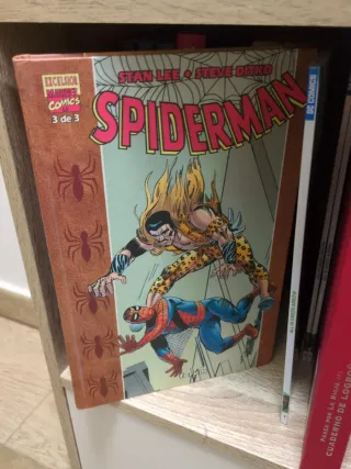 Comics Spiderman Stan Lee y Steve Divtko