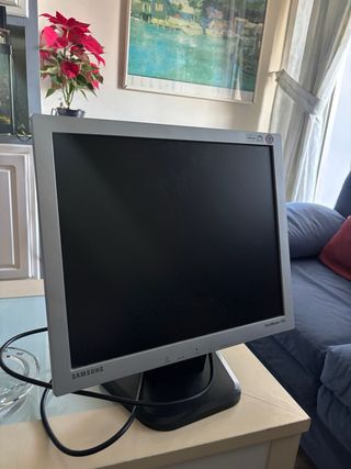 Monitor Samsung SyncMaster 710v Gris