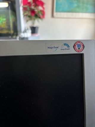 Monitor Samsung SyncMaster 710v Gris