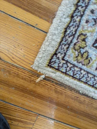 Alfombra estilo clásico beige y marrón