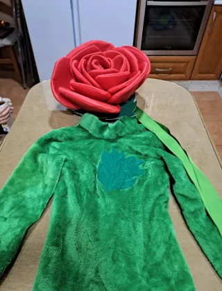 Disfraz de rosa