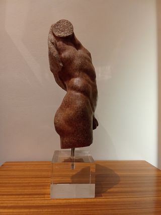 Escultura Torso Masculino Desnudo