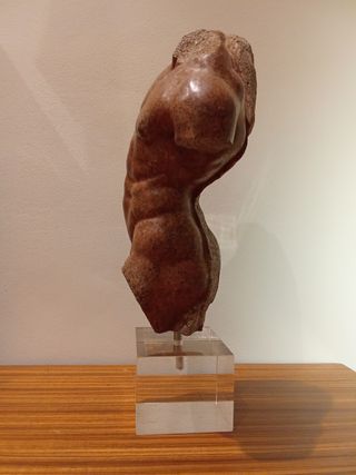 Escultura Torso Masculino Desnudo