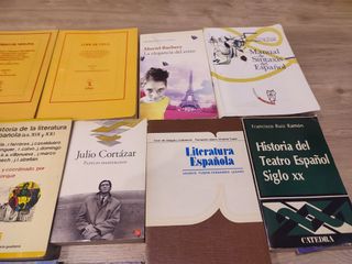 Lote 14 libros literatura española